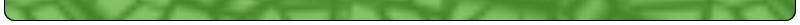 bottom